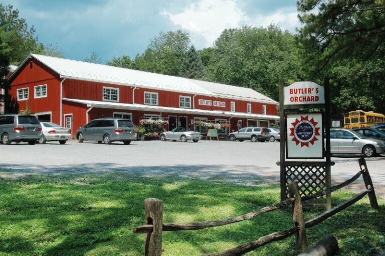 Butlers Market 768x510