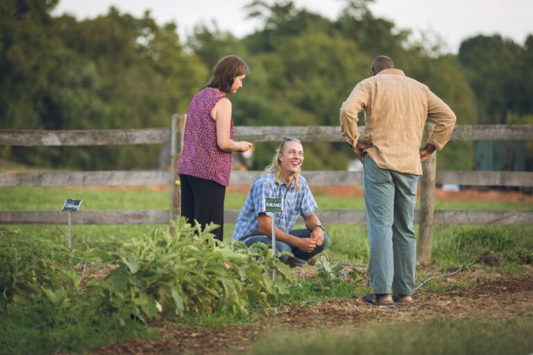 Farm Grower 768x512