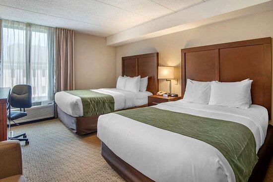 guest room with two beds