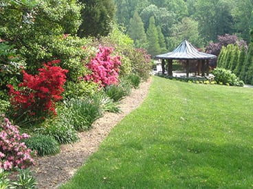 Wheaton